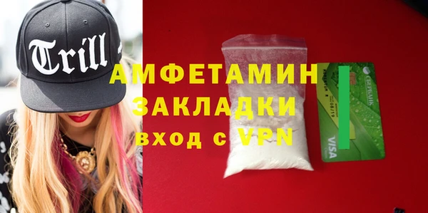 индика Осташков