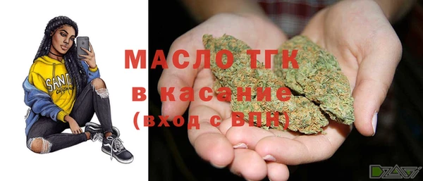 индика Осташков