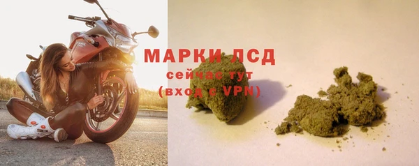 дживик Осинники