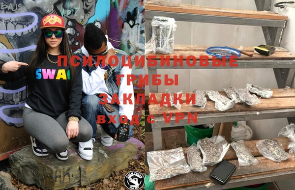 индика Осташков