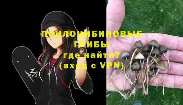 индика Осташков