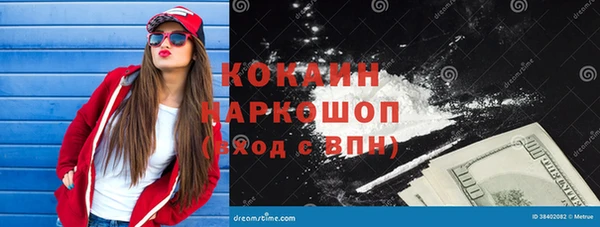 индика Осташков