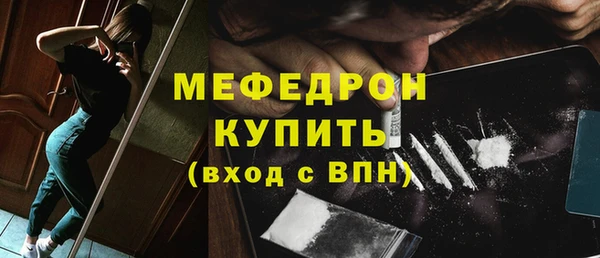 индика Осташков